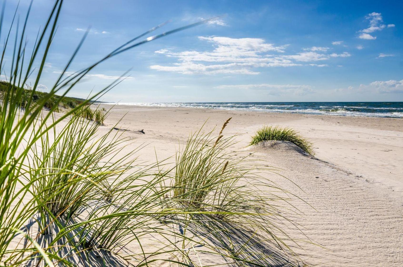 Strandschloesschen-Haus-Ii-We-13-9889 Ostseebad Kühlungsborn Eksteriør bilde